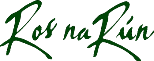 rosnaruntg4 gaeilge Sticker by Ros na Rún