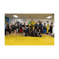 Btt Schertz Sticker by Brazilian Top Team