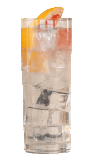 Refreshing Horse Racing Sticker by Ascot Racecourse