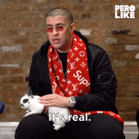 Spanish Bunnies GIF by BuzzFeed