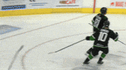 BinghamtonBlackBears binghamton black bears fphl binghamton black bears hockey GIF