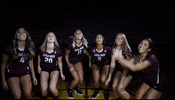 Littlerockvb GIF by Little Rock Athletics