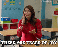 tv land teacher GIF by Teachers on TV Land