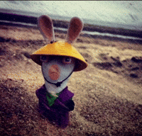 Hat Frog GIF