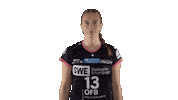 Erfurt Sticker by Volleyball Bundesliga