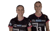 Erfurt Sticker by Volleyball Bundesliga