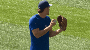 Pitching Blue Jays GIF by Toronto Blue Jays