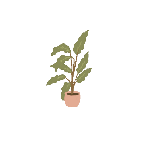 HiveHelper giphyupload house plant cleaning Sticker