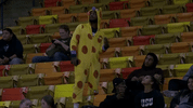 utah state womansbasketball GIF by USUAthletics
