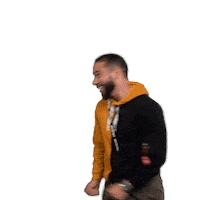 P4L Sticker by Emile Machado