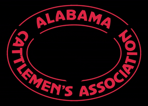 ALCattlemen giphygifmaker al cattlemen bama beef alabama cattle GIF