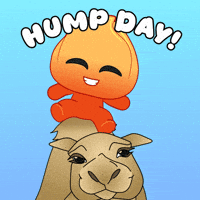 Wednesday Keep Smiling GIF by Playember