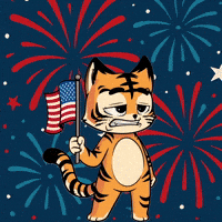American Usa GIF by Hero Galaxy NFT