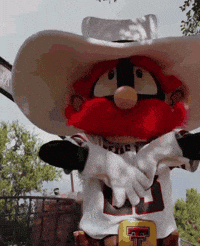 seeingscarlet texas tech red raiders wreck em raider red GIF