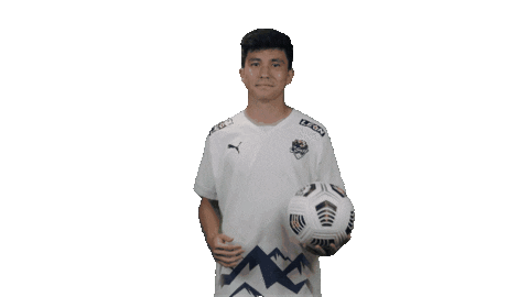 Фк Сочи Sticker by pfcsochi