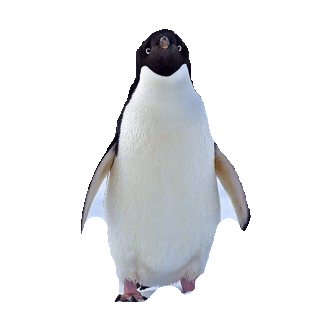 Penguin Sticker by imoji