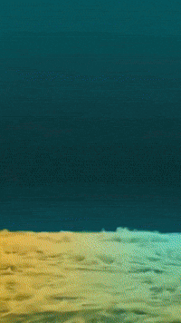 Free Fire GIF