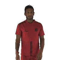 Indian Football Sticker by Indian Super League