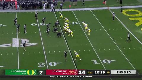 DBSports giphygifmaker GIF