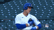 Regular Season Sport GIF by MLB
