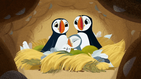 #puffin #rock #puffinrock #family #snuggles #puffinfamily GIF by Puffin Rock