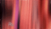 Dr Phil Lol GIF by Orrin