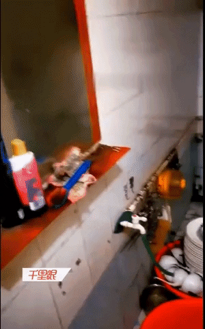 giphyupload GIF