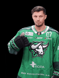 Hockey Bulls GIF by HC Nove Zamky