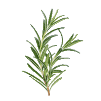 Hund Sticker by HelloBello Frischfutter