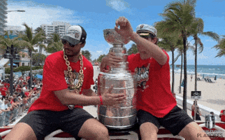 Stanley Cup Playoffs Win GIF by NHL