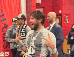 Stanley Cup Playoffs Win GIF by NHL