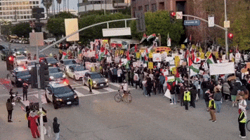 Protesters Block Los Angeles Streets Calling for Gaza Ceasefire