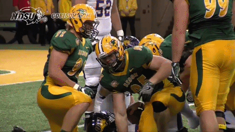 north dakota state football GIF by NDSU Athletics