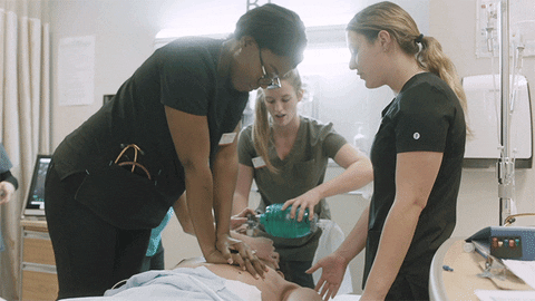 Mcgillu GIF by McGill University