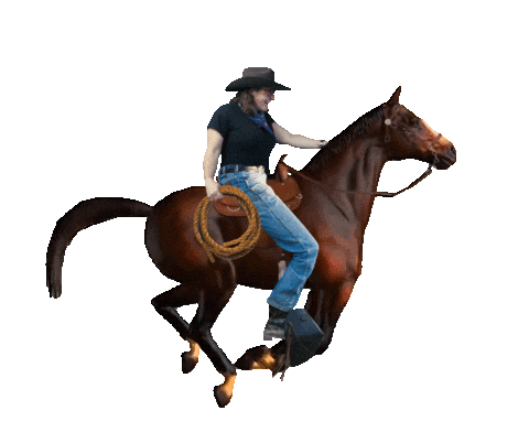 Horse Rodeo Sticker