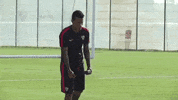 la liga soccer GIF by Sevilla Fútbol Club