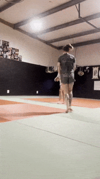 Newasgard GIF by New Asgard Martial Arts