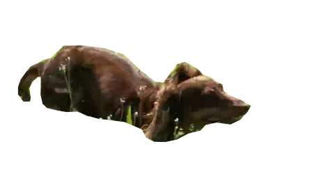 TatjanaBoro giphyupload Sticker