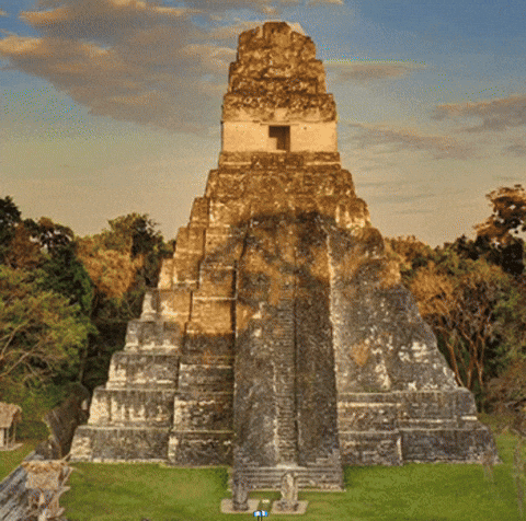 Tato17 giphyattribution giphycreatortest guatemala maya GIF