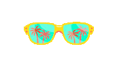 Fun Sunglasses Sticker by SweetHeat Miami