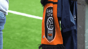 GlasgowCityFC glasgow city fc gcfc city scarf GIF