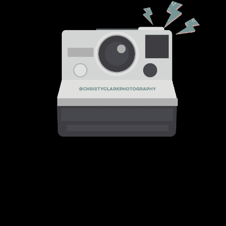 christyclarkphotography giphygifmaker GIF