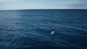 north carolina GIF
