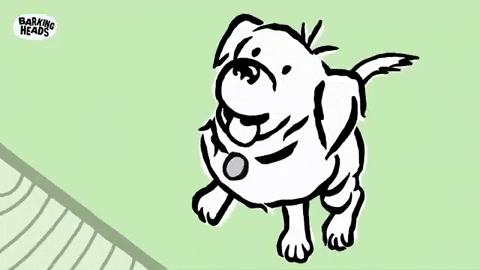 barkingheads giphyupload dog food cartoon dog hungry dog GIF