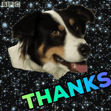 Digital art gif. The head of a border collie flies through starry space. Text, "thanks."