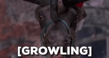 jingle all the way christmas movies GIF