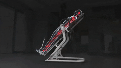 HARISONFITNESS giphygifmaker harison harison fitness inversion table GIF