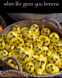 The Beatles GIF