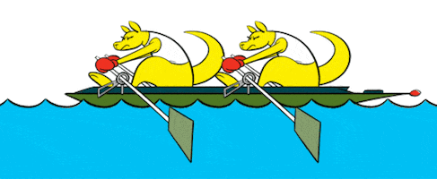 Summer Olympics Rowing Sticker by AUSOlympicTeam
