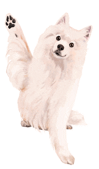 White Dog Sticker by puppytales